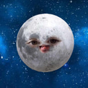 pringlestein