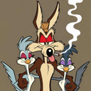 wileEcoyote