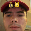 insentos